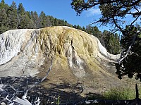Yellowstone Mammoth Hotsprings (77).JPG